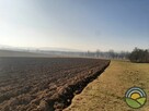 Radwanowice gm. Zabierzów - działka rolna 6300m2 - 1