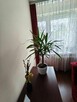 M3Retkiniapełen rozkład balkon 2 p. w cenie wyposażenie, - 7
