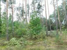 Syndyk sprzeda - Nowe miasto nad Pilicą, dz. 1026/1 - 2