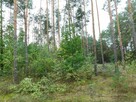 Syndyk sprzeda - Nowe Miasto nad Pilicą, dz. 1032/1 - 3