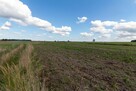 Działka budowlana Radonia gm. Wielowieś, - 8