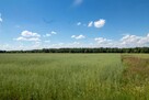 Działka budowlana Woźniki Czarny Las, Czarny Las - 13