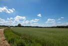 Działka budowlana Woźniki Czarny Las, Czarny Las - 15