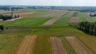 Działka rolna Sieraków Śląski gm. Ciasna, Wyzwolenia - 2