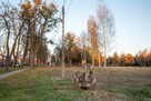 Działka budowlana Koszęcin, Słowików - 5