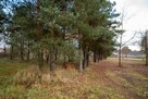 Działka budowlana Koszęcin, Słowików - 5
