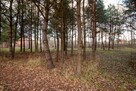 Działka budowlana Koszęcin, Słowików - 7