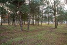 Działka budowlana Koszęcin, Słowików - 4
