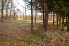 Działka budowlana Koszęcin, Słowików - 2