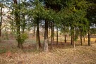 Działka budowlana Koszęcin, Słowików - 3