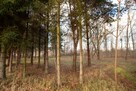 Działka budowlana Koszęcin, Słowików - 4