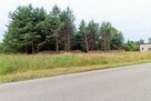Działka budowlana Strzebiń gm. Koszęcin Prądy, Koszęcińska - 3