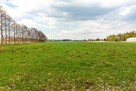 Działka budowlana Żory Kleszczów, Złota - 8
