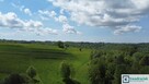 Działka rolna Golcowa gm. Domaradz, - 3