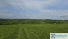 Działka rolna Golcowa gm. Domaradz, - 5