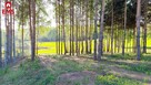 Działka budowlana Krynice gm. Dobrzyniewo Duże - 2