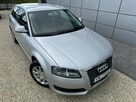 Audi A3 1,6 "Attraction" - 2