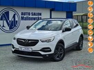 Opel Grandland X Navi Kamera Grzane Fotele+Kierownica 2xPDC Full Led ParkAssist Serwis - 1