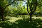 Działka budowlana nad rzeką - 10