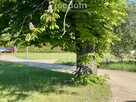 Miejsce, w którym życie zwalnia. I nabiera sensu. - 1