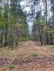 Działka 9120 m², dojazd asfaltowy, Choszczowe. - 1