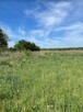 Działka 5548 m² budowlana z mediami. - 3