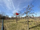Mieszkanie Świdnica - 4