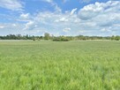 Działka Osmolice Pierwsze gm. Strzyżewice - 6