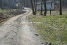 Działka leśna Malkowice gm. Koszyce - 2