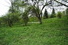 Działka budowlana Chobędza gm. Gołcza - 3