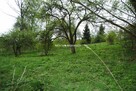 Działka budowlana Chobędza gm. Gołcza - 5