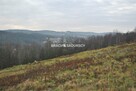 Działka rolna Głogoczów gm. Myślenice - 2
