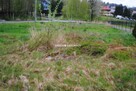 Działka budowlana Bodzanów gm. Biskupice - 3