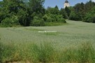 Działka inwestycyjna Brzezie gm. Kłaj - 1