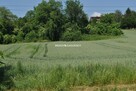 Działka inwestycyjna Brzezie gm. Kłaj - 2