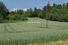 Działka inwestycyjna Brzezie gm. Kłaj - 6