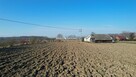 Działka Szczurowa Popędzyna, Popędzyna - 6