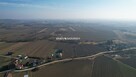 Działka Szczurowa Popędzyna, Popędzyna - 11