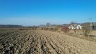 Działka Szczurowa Popędzyna, Popędzyna - 15