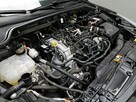 Ford Focus - 14