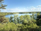 Sprzedam dzialke na Kalinie obok Gniezna, obok las i jezioro - 5