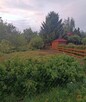 13500 zł okazja działka ROD ul. spokojna ,, Szarotka,, - 1