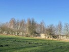Syndyk sprzeda udziały w gruntach - Wojciechowice, Wały 50% - 11