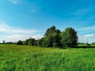 SPRZEDAM 2 DZIAŁKI 3000 M2 - ŚLIWNO, GM. CHOROSZCZ - 1