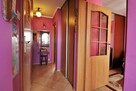 Mieszkanie w centrum Ełku - 43,50 m2 - 9
