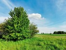 SPRZEDAM 2 DZIAŁKI 3000 M2 - ŚLIWNO, GM. CHOROSZCZ - 4
