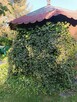 Mieszkanie do wynajęcia - 3