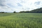 Dom w Kopytowie z dużą działką przy lesie - 4