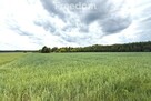Dom w Kopytowie z dużą działką przy lesie - 5