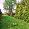 Działka rekreacyjna Częstochowa Błeszno, Palmowa - 12